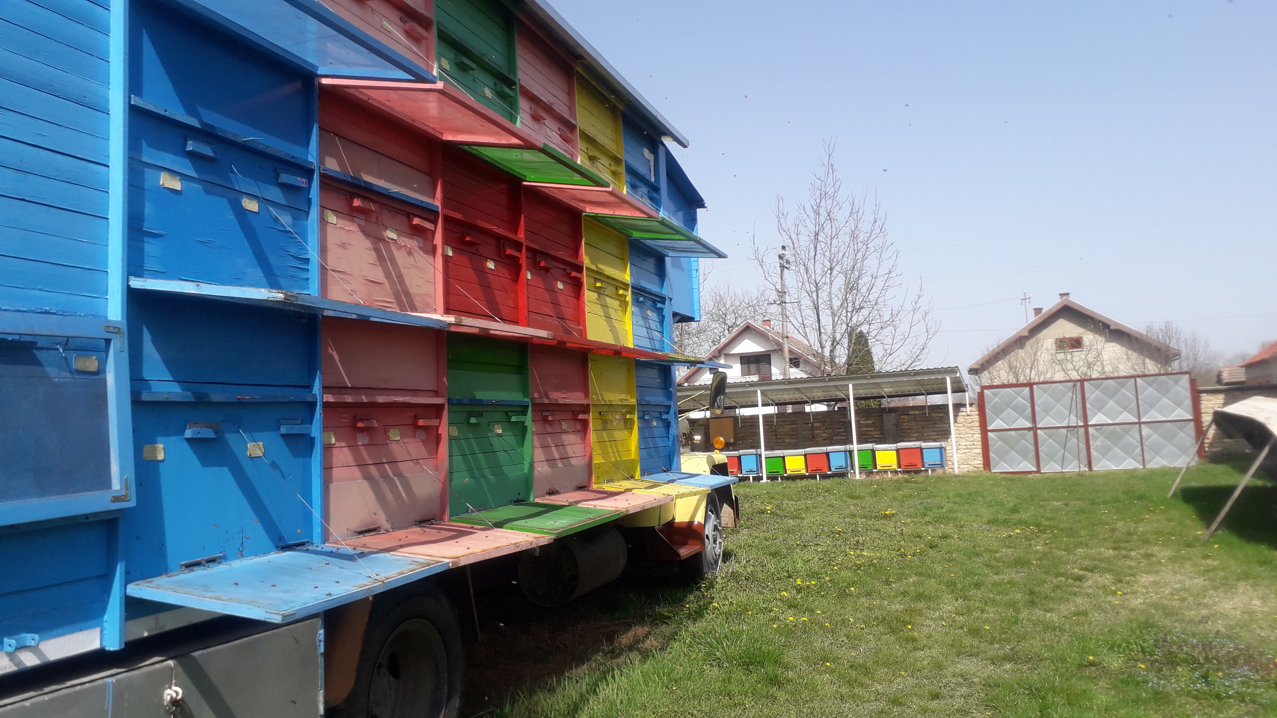 * A Pčelinjak Vorgić, Olge Petrov 24, Novi Sad