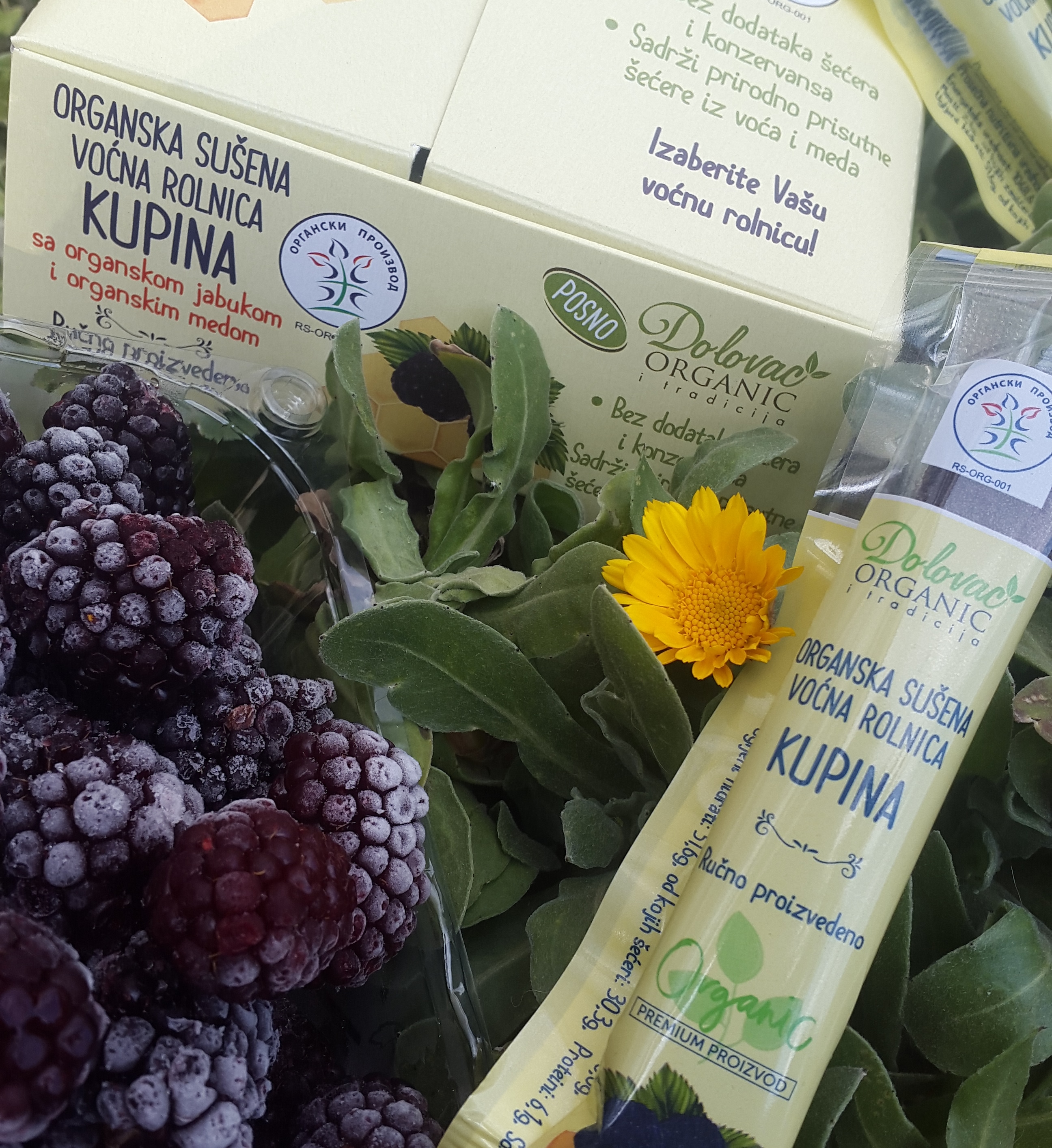 Organska sušena voćna rolnica-kupina 30kom