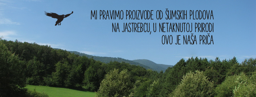 Jastrebačka priča