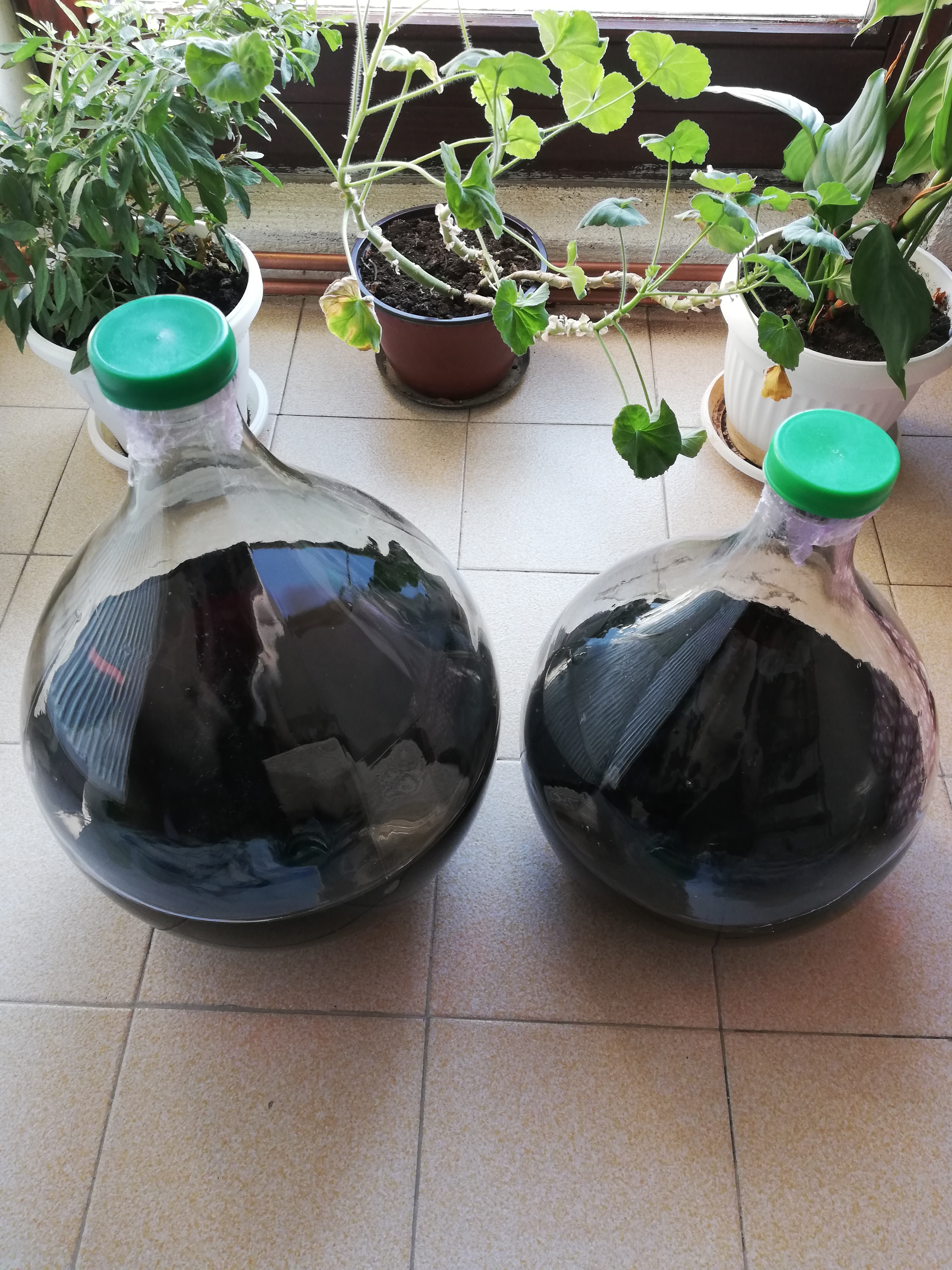 Malinovača i višnjovača