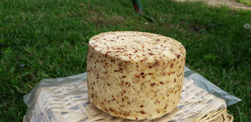 Polutvrdi kozji sir sa ljutom paprikom - Ljutko