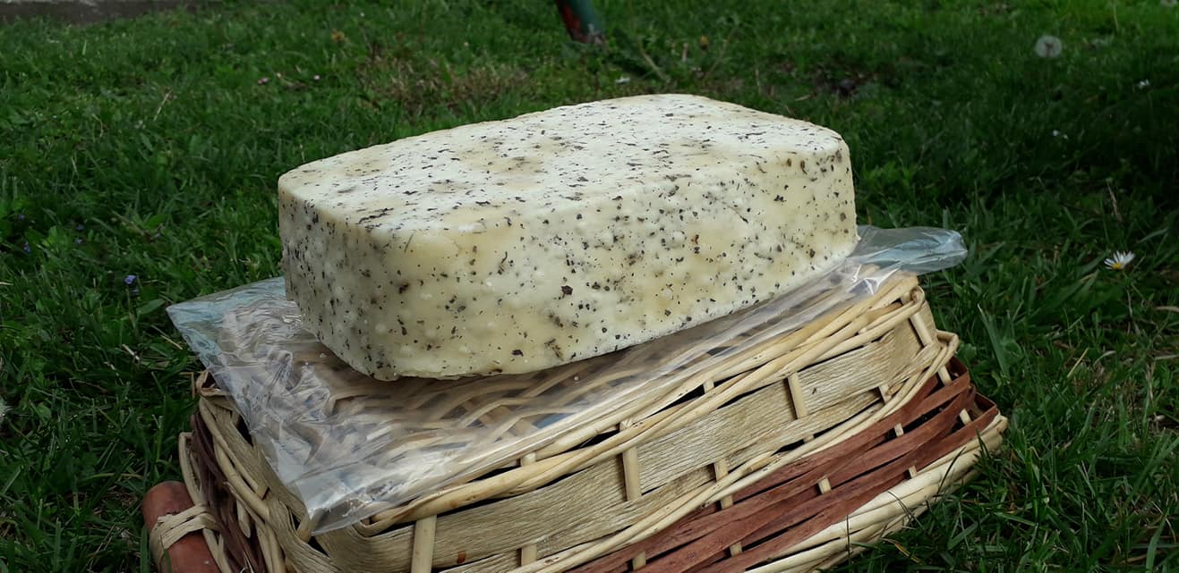 Polutvrdi kozji sir sa bosiljkom - Mediteran