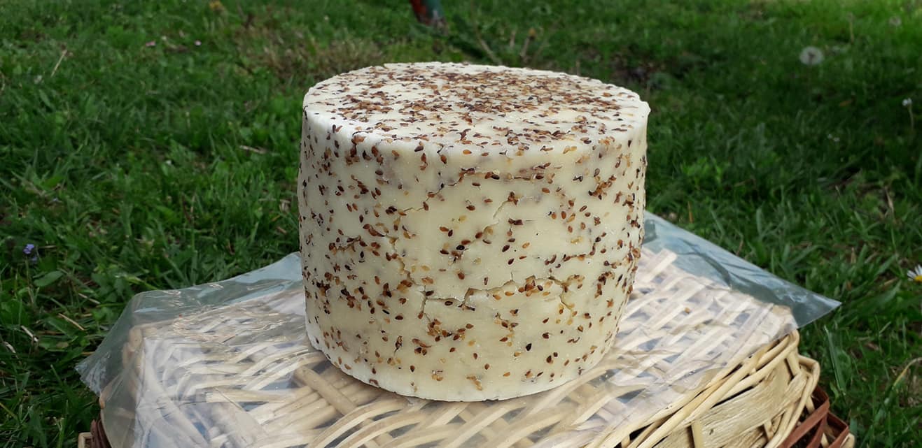 Polutvrdi kozji sir sa susamom - Susam