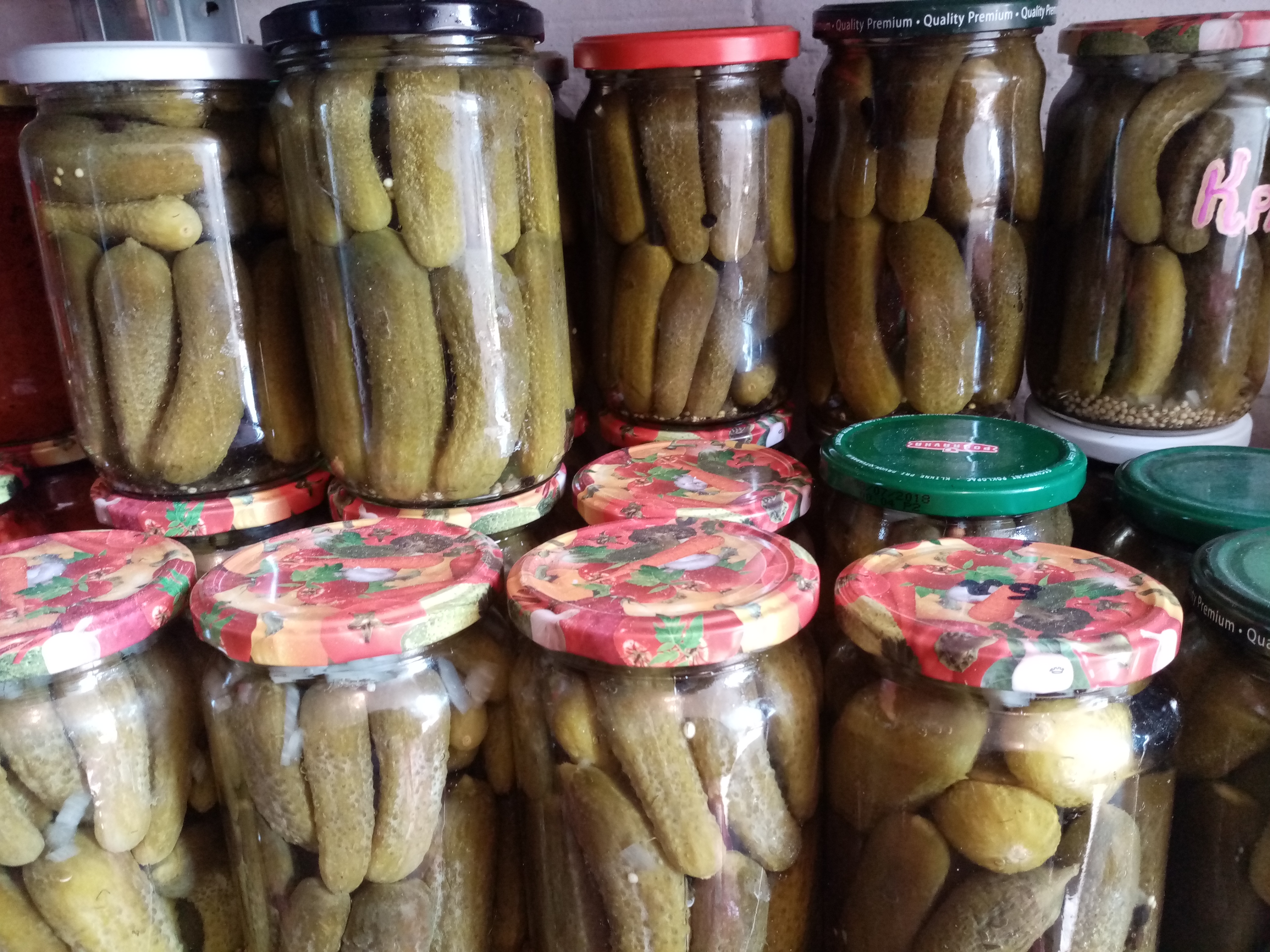 Kiseli krastavčići
