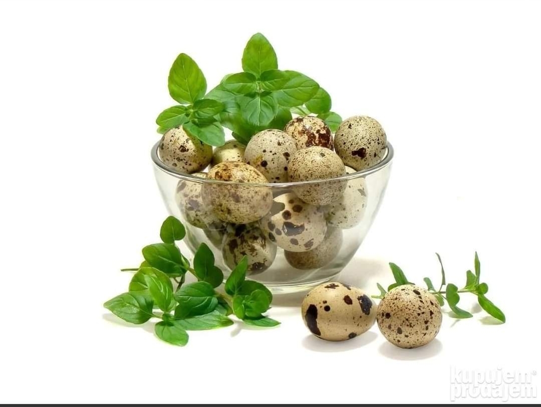 Poljoprivredno gazdinstvo Mirković