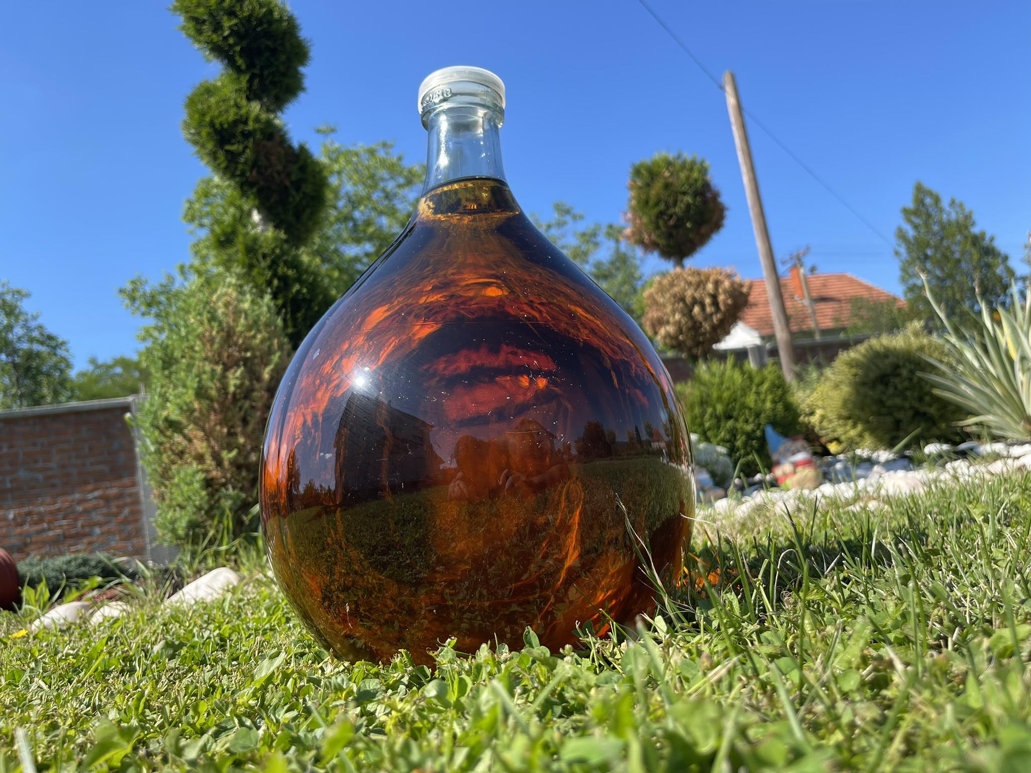 Domaca Rakija od Sljive stara 18 god