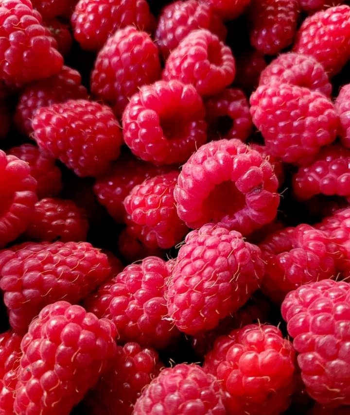 Domaći sok od maline(sirup)