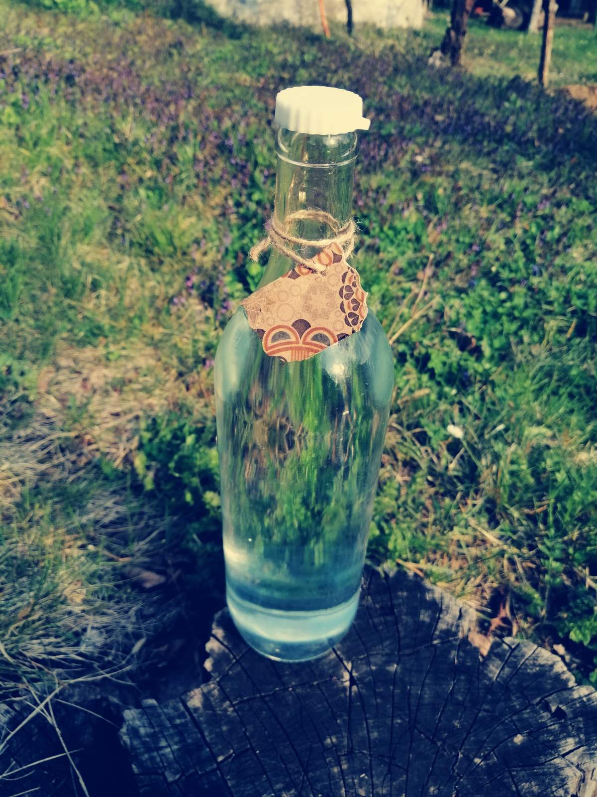 Domaca rakija od sljive