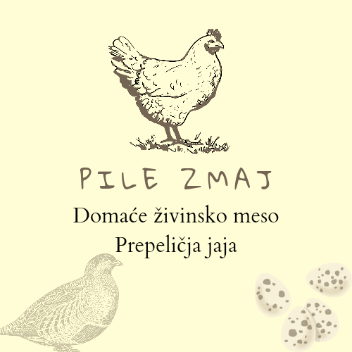 Pile Zmaj