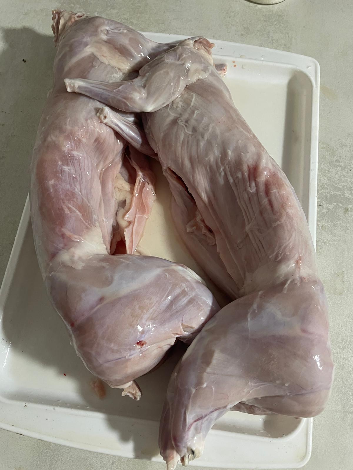 Kunici i meso kunica