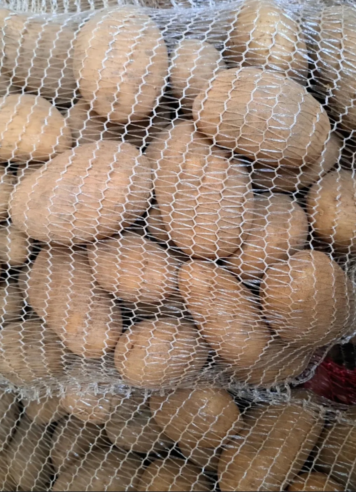 Poljoprivredno Gazdinstvo Vasović