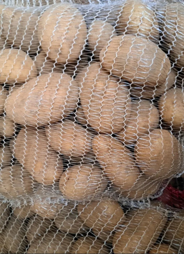 Poljoprivredno Gazdinstvo Vasović